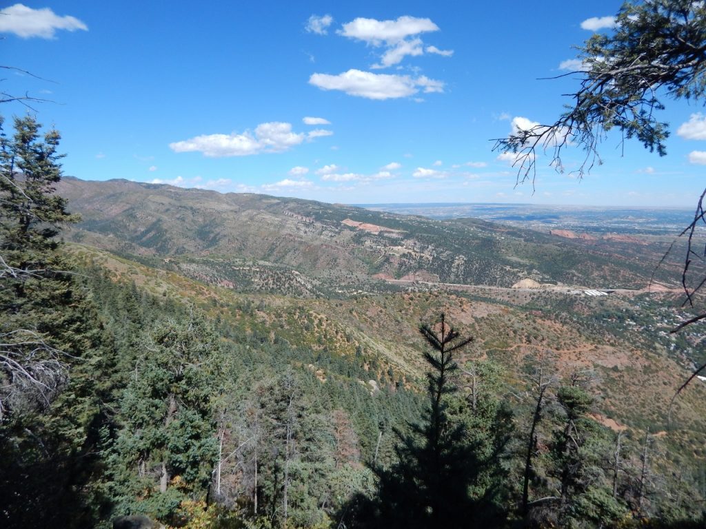 Evergreen trees and distant mountain hills sit underneath a clear blue sky, the cultural backdrop of Colorado