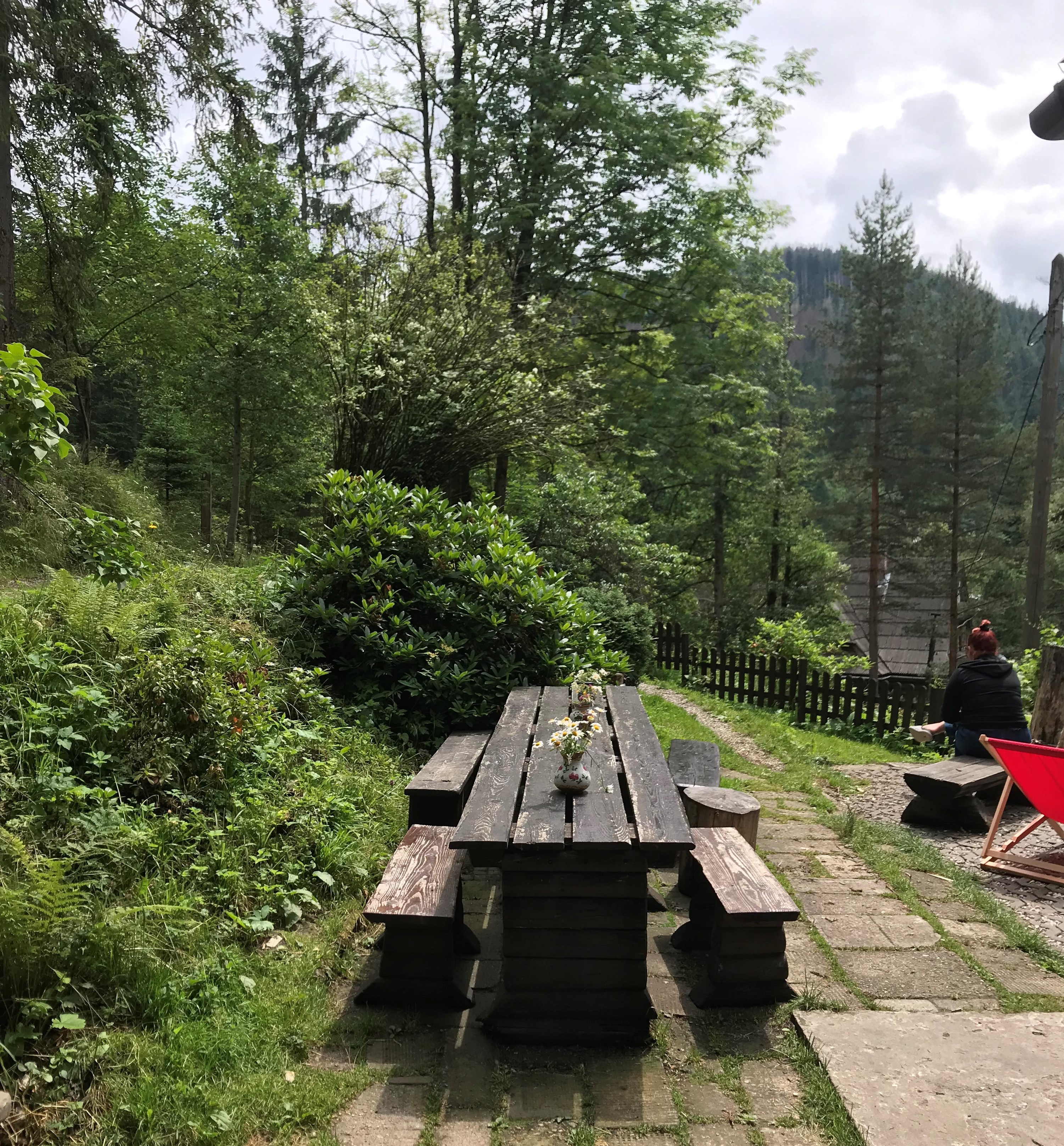 A wooden picnic table with shrubery surrounding it on one side and a mountaintop in the background.