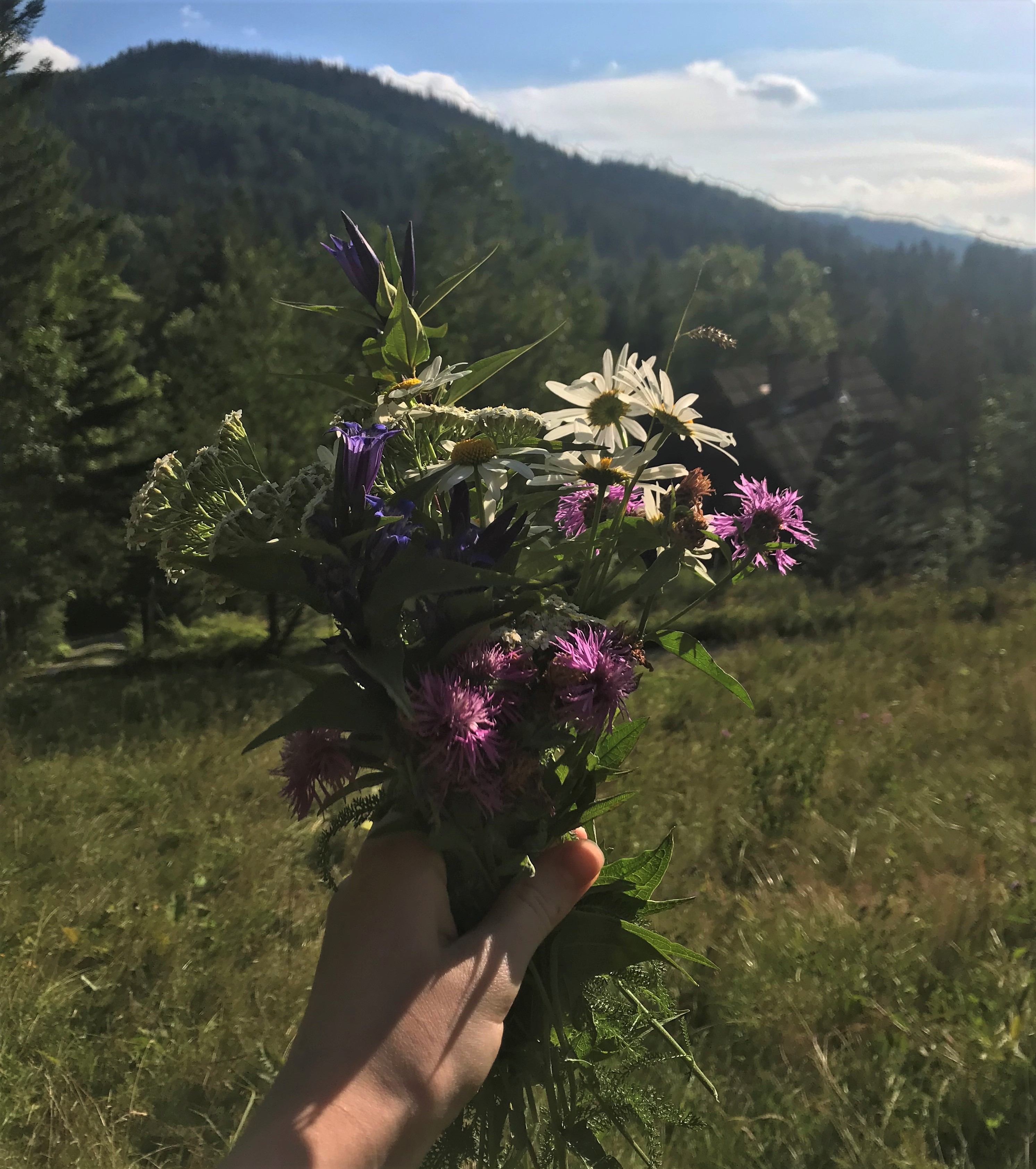 A bouquet of white and purple flowers clutched in one hand. Green grass and a mountaintop frame the background.
