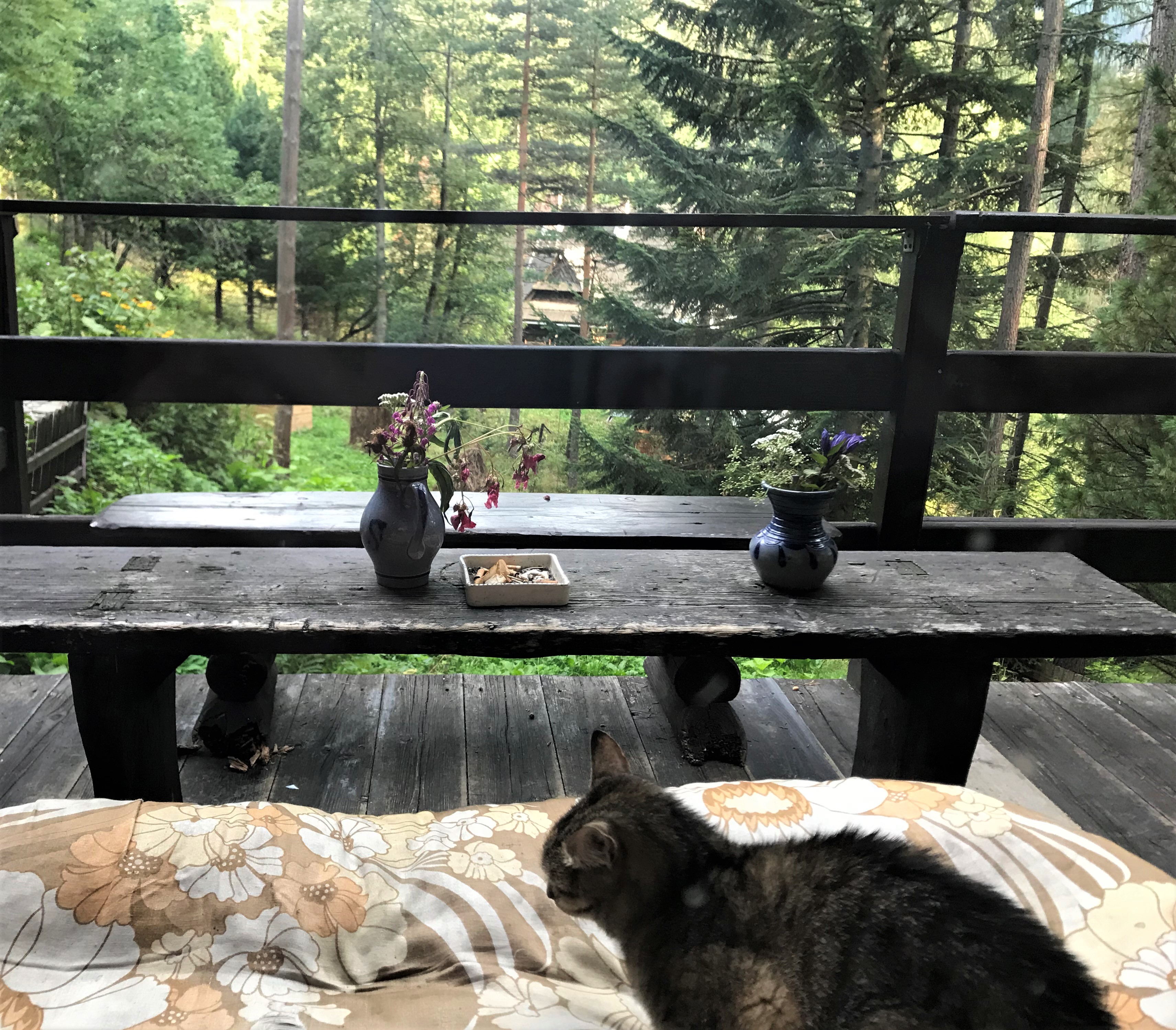 A dark gray and brown striped cat sitting on a cushion on a porch seat, with a picnic table with vases of flowers and a railing in front of it.