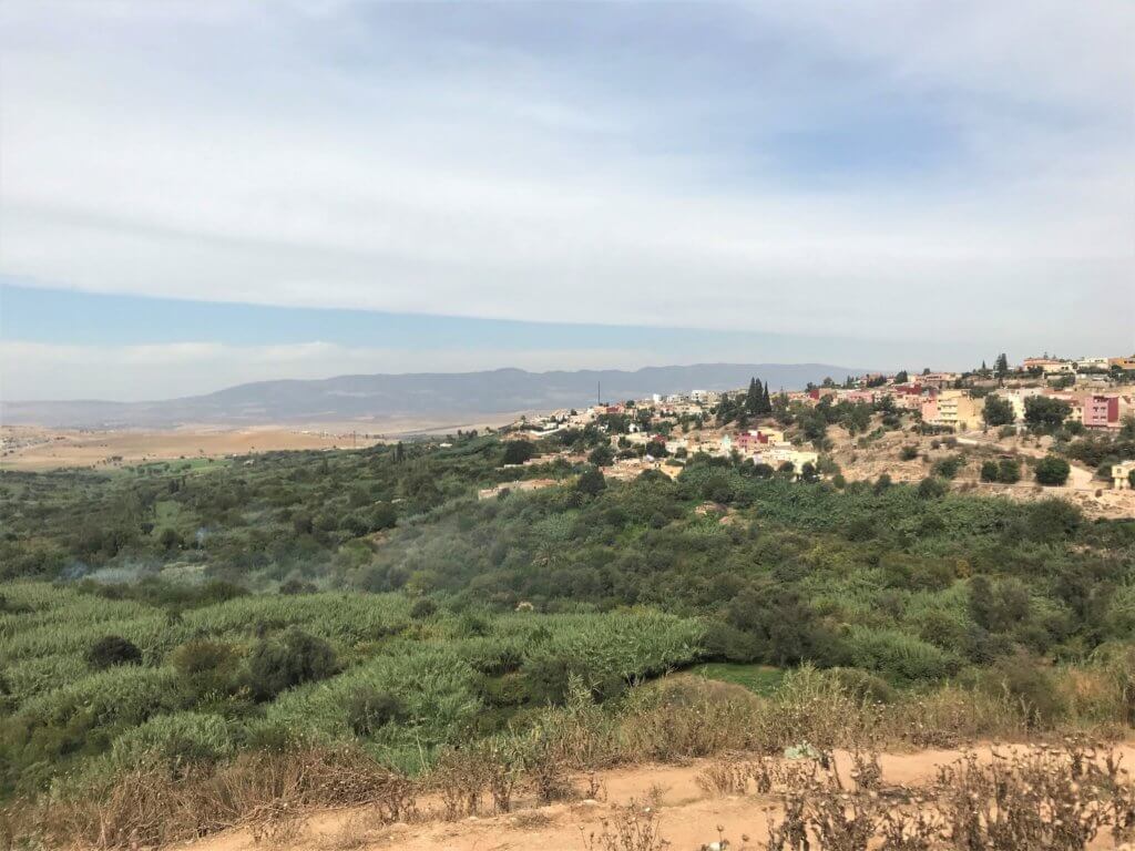 Green fields, trees, buildings, and distant mountains seen from an overlook.