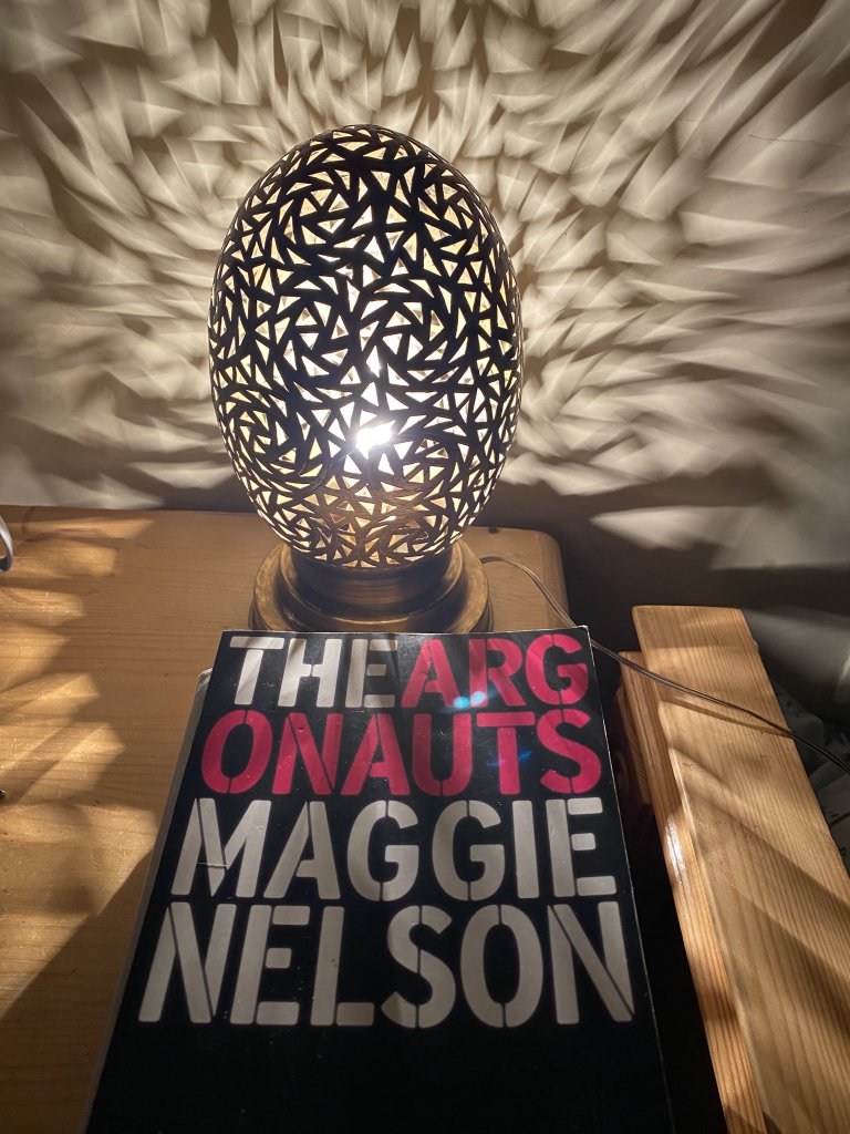 A black book with the title and author's name, The Argonauts by Maggie Nelson, in capitol white and pink letters. A lamp behind the book reflects swirls of light onto the book cover and the surrounding table. This is one of the books the author read in 2020.