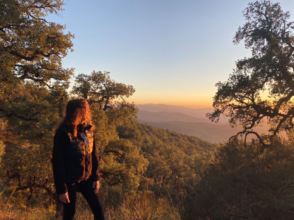 A woman in a black jacket with hair tinged golden red-orange by the sun looks out over the sun setting on a valley, with shades of green, golden, purple, and blue.