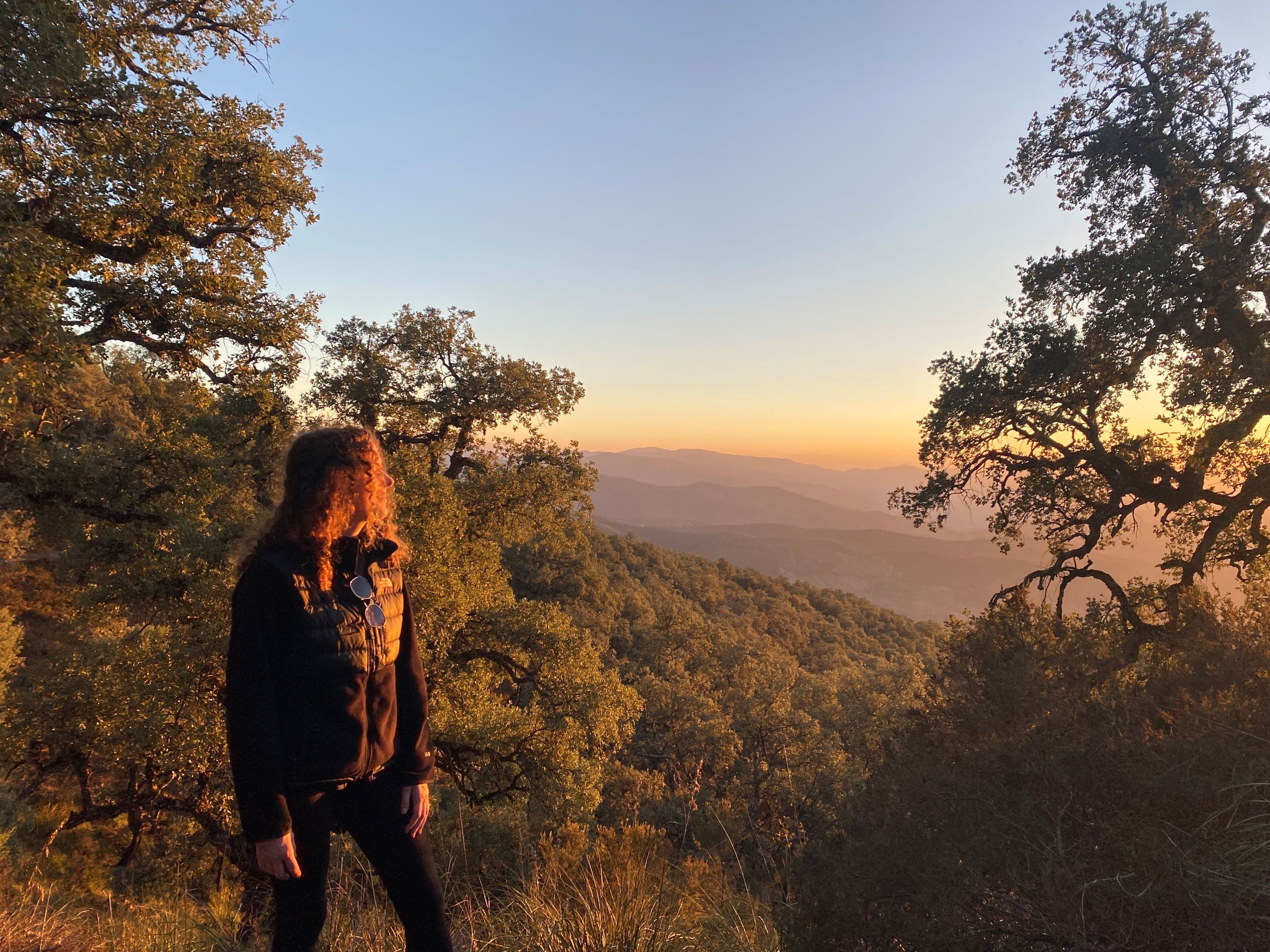 A woman in a black jacket with hair tinged golden red-orange by the sun looks out over the sun setting on a valley, with shades of green, golden, purple, and blue.